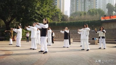 ​站桩之巅：王芗斋笔下的武学玄境与心灵解放
