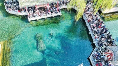​人才观察丨先成家，还是先立业？这座城有答案