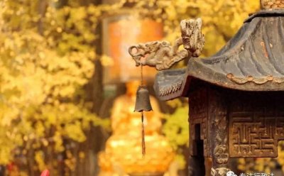 ​空挂户待遇：农村补偿安置的秘密策略