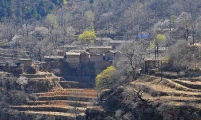 ​该不该离开孩子去工作(妈妈离开孩子去外地工作)