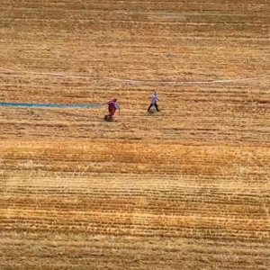 ​太难过！河南山东大旱，农民顶着烈日浇水，央视回应当地采取措施