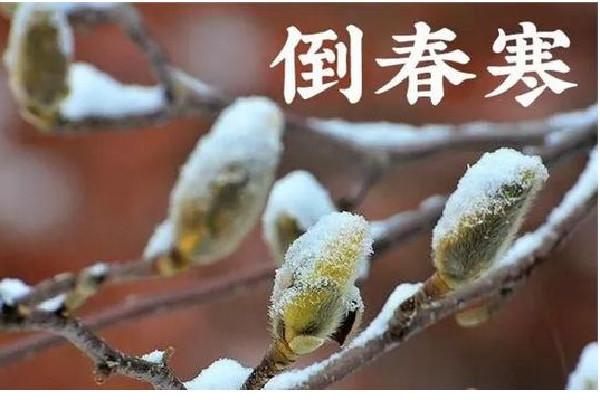 倒春寒比喻什么（倒春寒指的是什么）