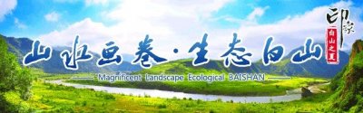 ​带你了解人口普查全过程
