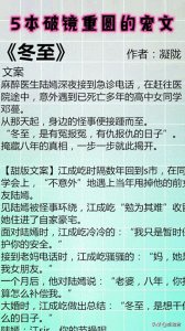 ​5本破镜重圆的甜宠文——强推《冬至》一定不要错过