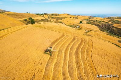 ​江布拉克（新疆5A景区）