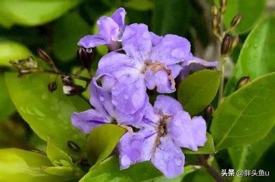 ​人心恒古与世风演变：超越“人心不古，世风日下”的认知误区