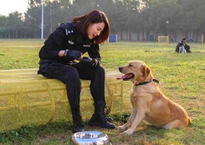 ​热播剧《警花与警犬》