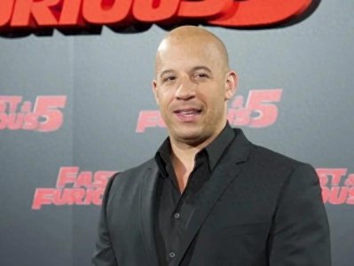 ​范·迪赛尔：简介