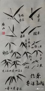 ​竹子基础画法之竹叶画法