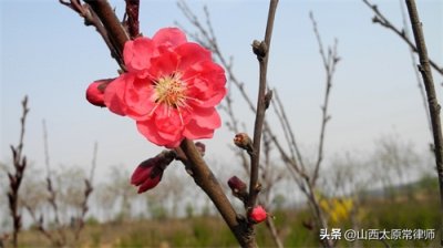 ​论量刑情节的刑罚功能