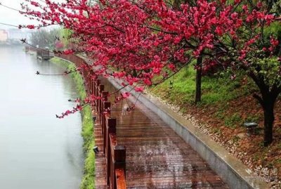 ​通山首屈一指人口重镇，3000年绽放三“美”文明花