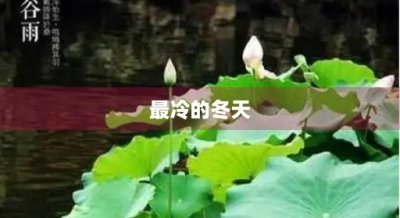 ​最冷的冬天(最冷的冬天叫什么)