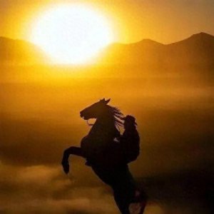 ​中老年微信头像 | 适合男人的富贵风景微信头像