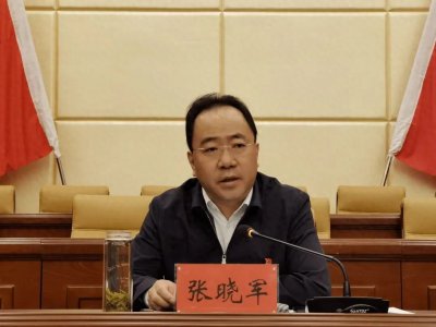 ​履新4个多月，张晓军主动投案