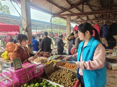 ​雨花区跳马镇：平安无毒迎新春，禁毒宣传进农村