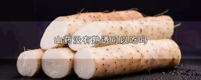 ​山药没有熟透可以吃吗
