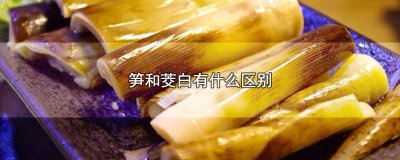 ​笋和茭白有什么区别