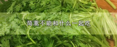 ​茼蒿不能和什么一起吃