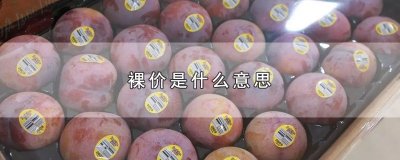 ​裸价是什么意思