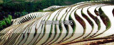 ​梯田在哪个地区