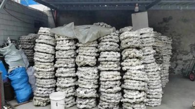 ​夫妻两人就能干的2个小生意，花六万办个加工厂，一年也能挣20万