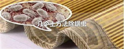 ​几个土方法除螨虫