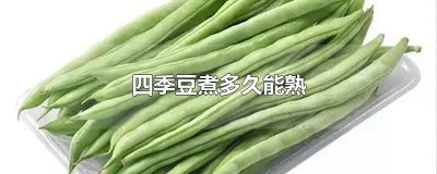 ​四季豆煮多久能熟