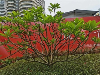 ​说说含“无”字的成语大世界