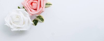 ​玫瑰的花语是什么意思