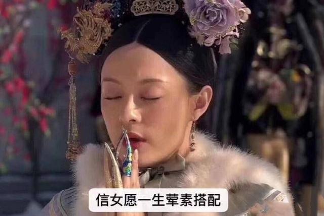 甄嬛传全部定妆照（甄嬛传十年从定妆即被骂）(71)