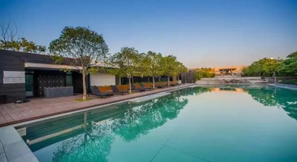 最上镜的海岛度假村（你都不知道的深圳最美度假村）(14)