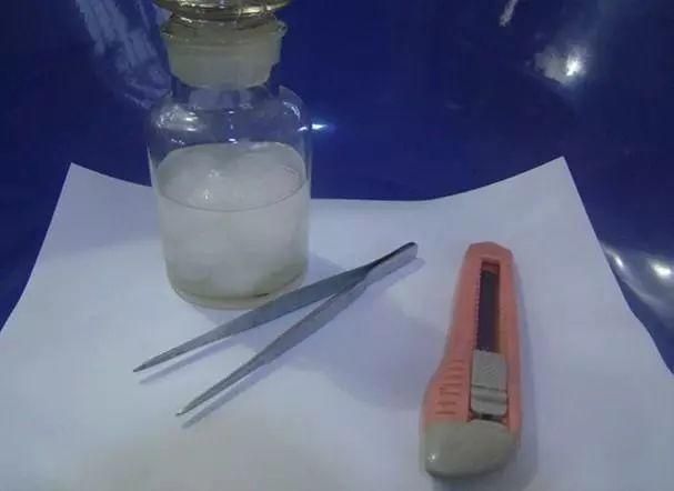 长寿花和玉树合体,开出5种颜色的花,太惊艳了!