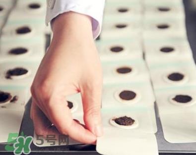 贴三伏贴可以吃鱼吗？贴三伏贴可以吃什么鱼？