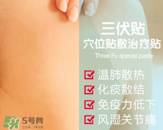 贴三伏贴可以吃鱼吗？贴三伏贴可以吃什么鱼？