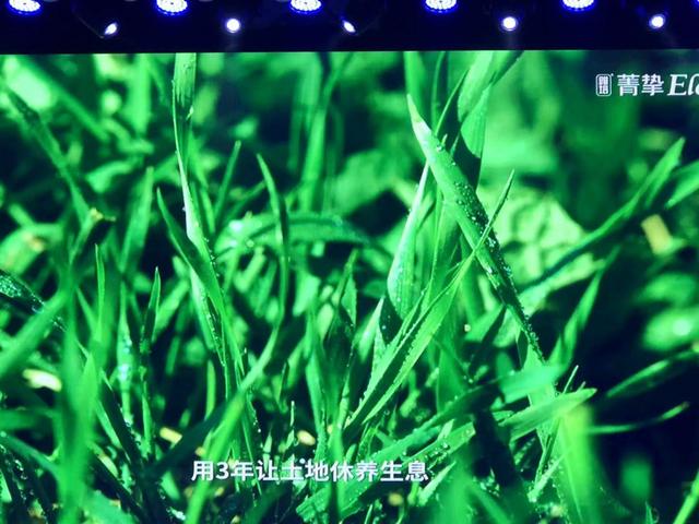 雅培菁挚蓝瓶4段奶粉测评（有机奶粉老大雅培菁挚品牌全面升级）(2)