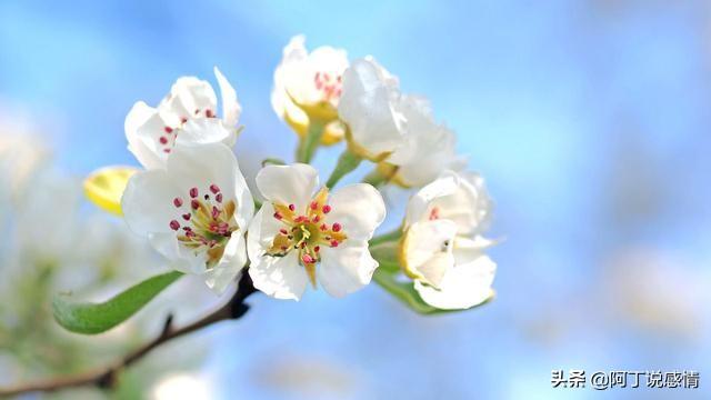 亦舒经典语录30句（作家亦舒的经典语录）(4)