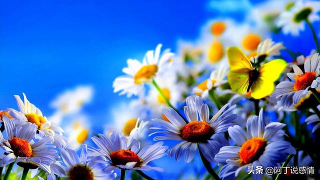 亦舒经典语录30句（作家亦舒的经典语录）(1)