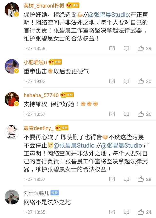 张碧晨针对孩子事件的处理对策(黑心网友假造谣张碧晨)(14)