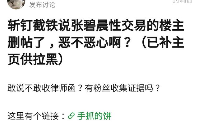 张碧晨针对孩子事件的处理对策(黑心网友假造谣张碧晨)(13)