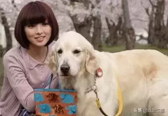 日本比较感人的电影有哪些（盘点日本网友推荐的六部催泪电影）