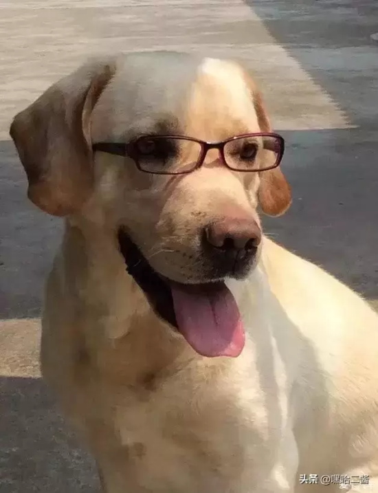 日本比较感人的电影有哪些（盘点日本网友推荐的六部催泪电影）