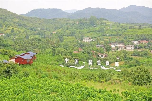 安康旅游景点排行榜(安康市著名景区一览)(26)