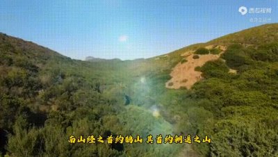 ​《山海经》三生三世里的迷谷还记得吧？原来是它！