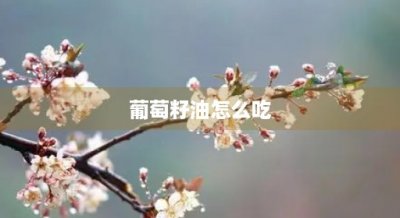 ​葡萄籽油怎么吃(葡萄籽油多少钱一斤)