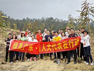 ​今天，江门新会“绿能量”暴涨1000+