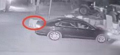 ​父亲证实：男子路上捡狗被拘13天，背后定性盗窃引发法律争议