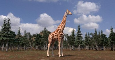 ​世界上现存最高的十大陆上动物