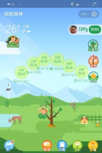 ​参与蚂蚁森林能给你带来哪些福利