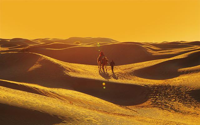 库布齐沙漠在哪里(库布齐沙漠气候类型特征)