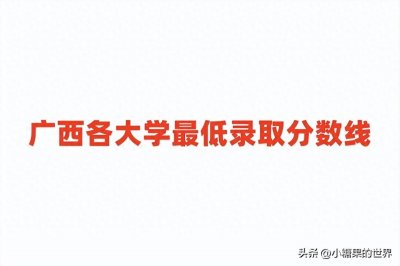 ​广西各大学最低录取分数线及位次表（2024参考）